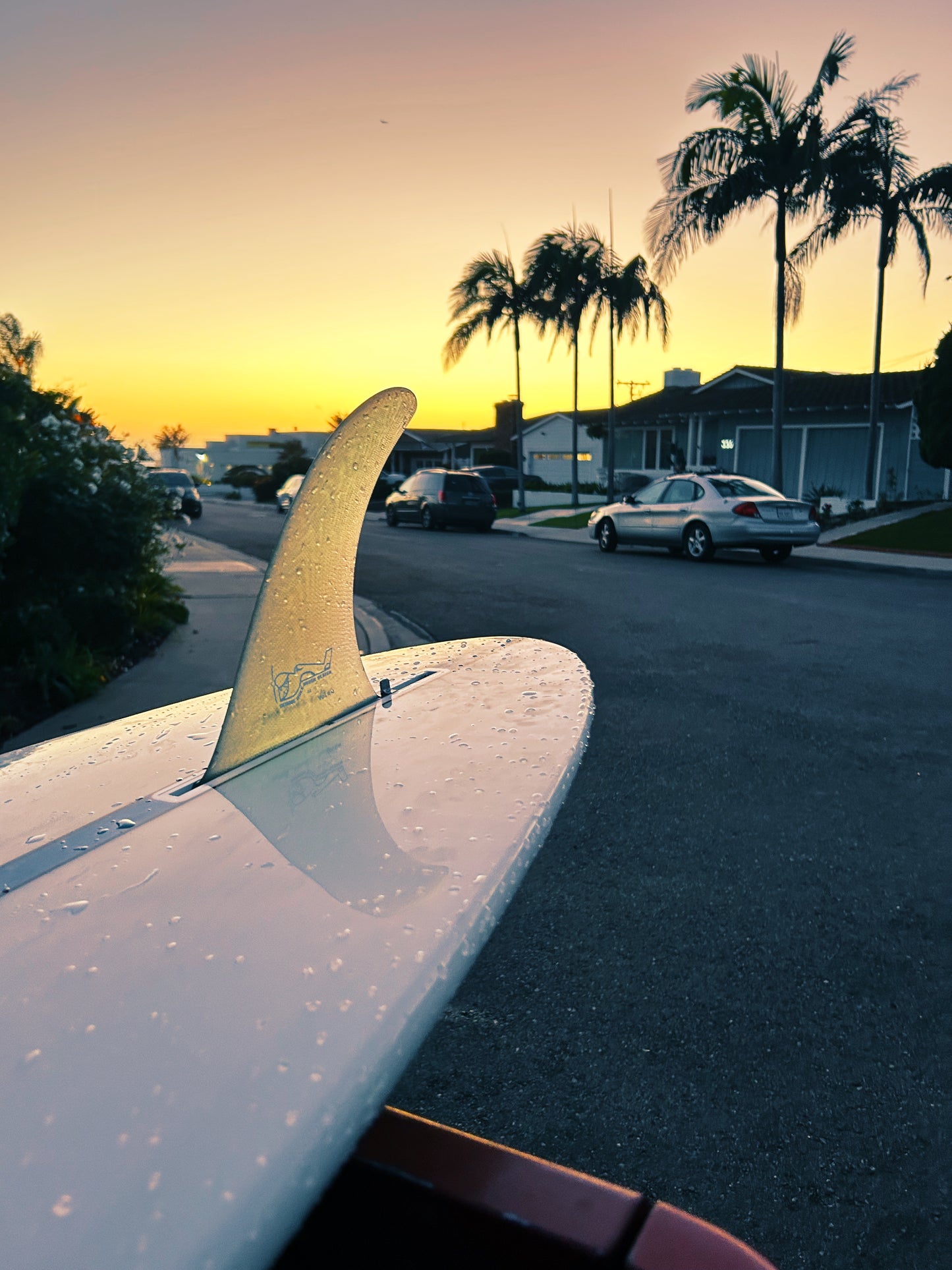 Rental Surfboards